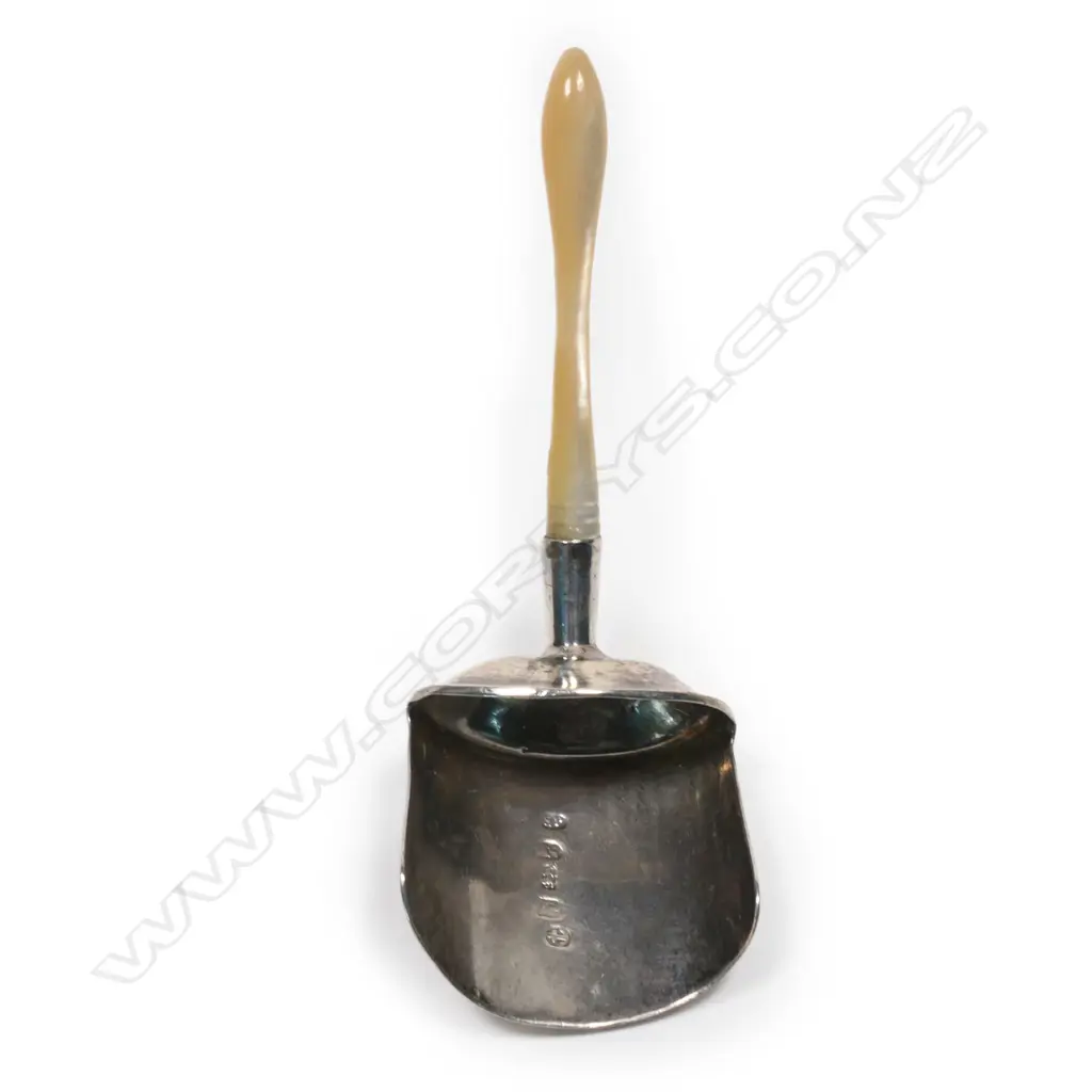 A Georgian silver and mother of pearl caddy spoon, Image 1++