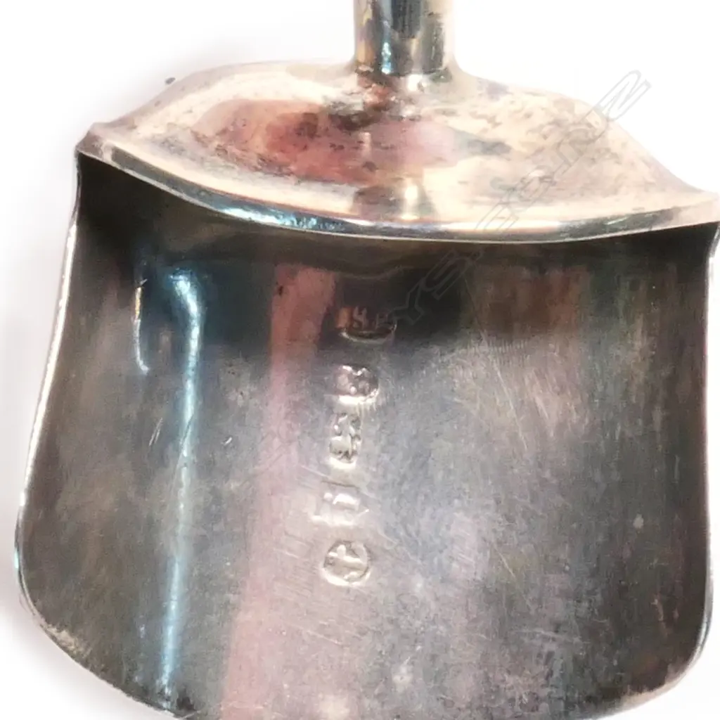 A Georgian silver and mother of pearl caddy spoon, Image 1++