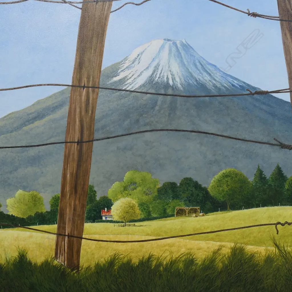 Raymond Wilson (NZ), Image 1++