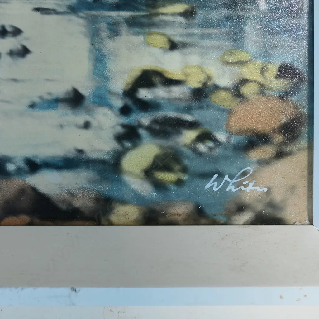 WHITES AVIATION VINTAGE PHOTO 'CLEARWATER' 370x680mm Image 1++