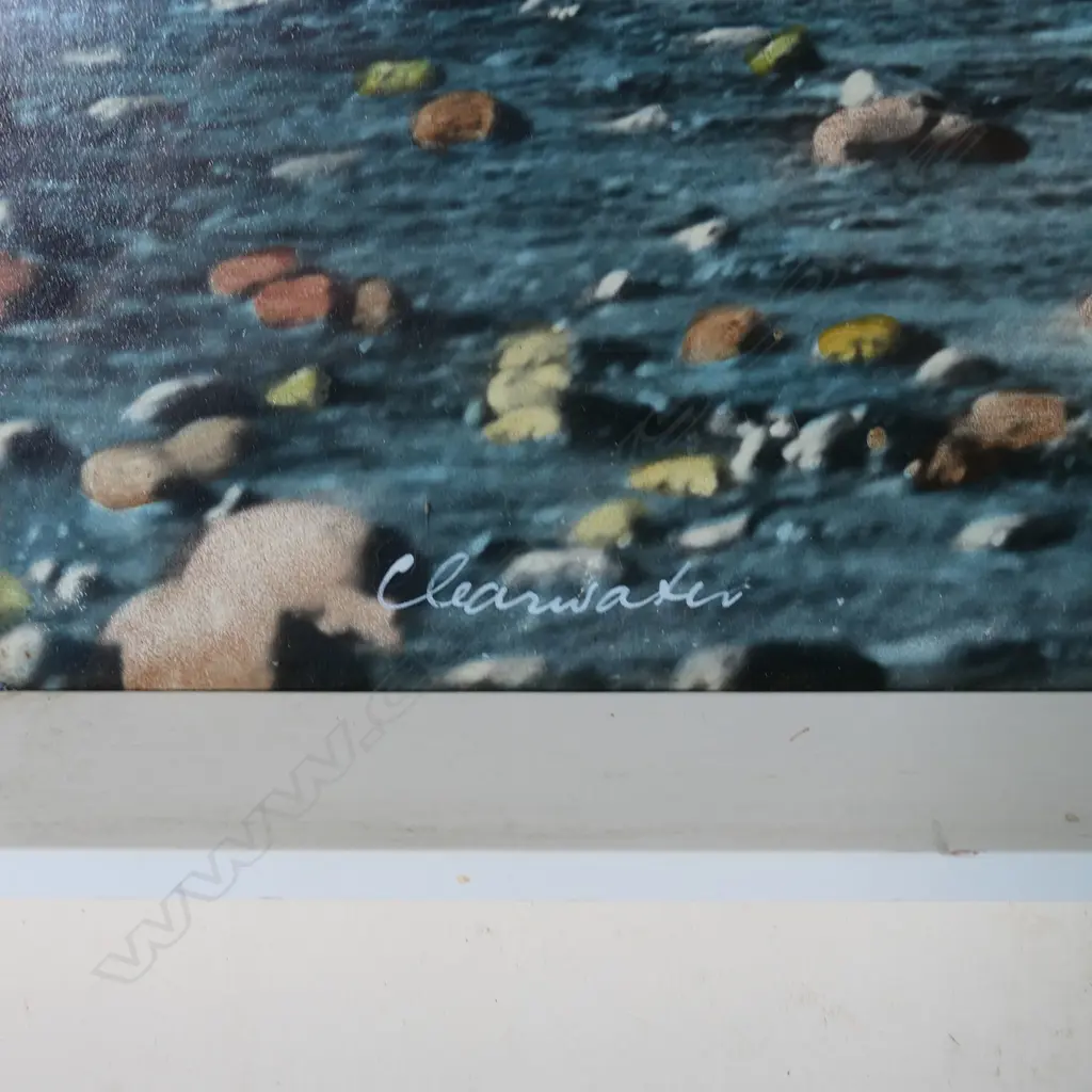 WHITES AVIATION VINTAGE PHOTO 'CLEARWATER' 370x680mm Image 1++