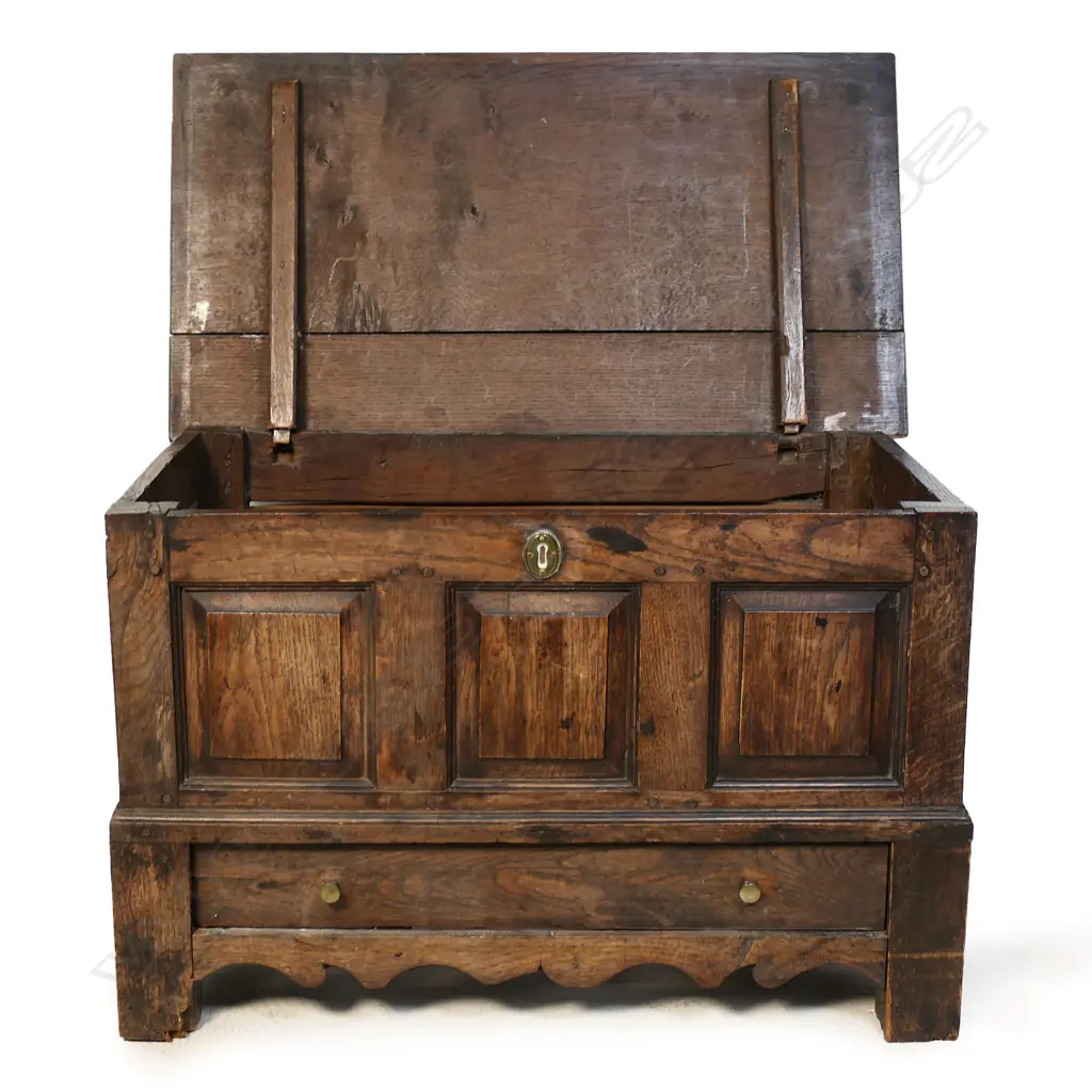Small 19thC oak panelled coffer, Image 1++