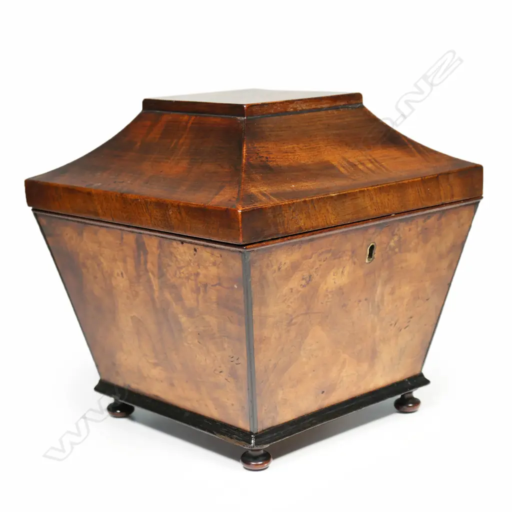 A Regency walnut tea caddy, Image 1++