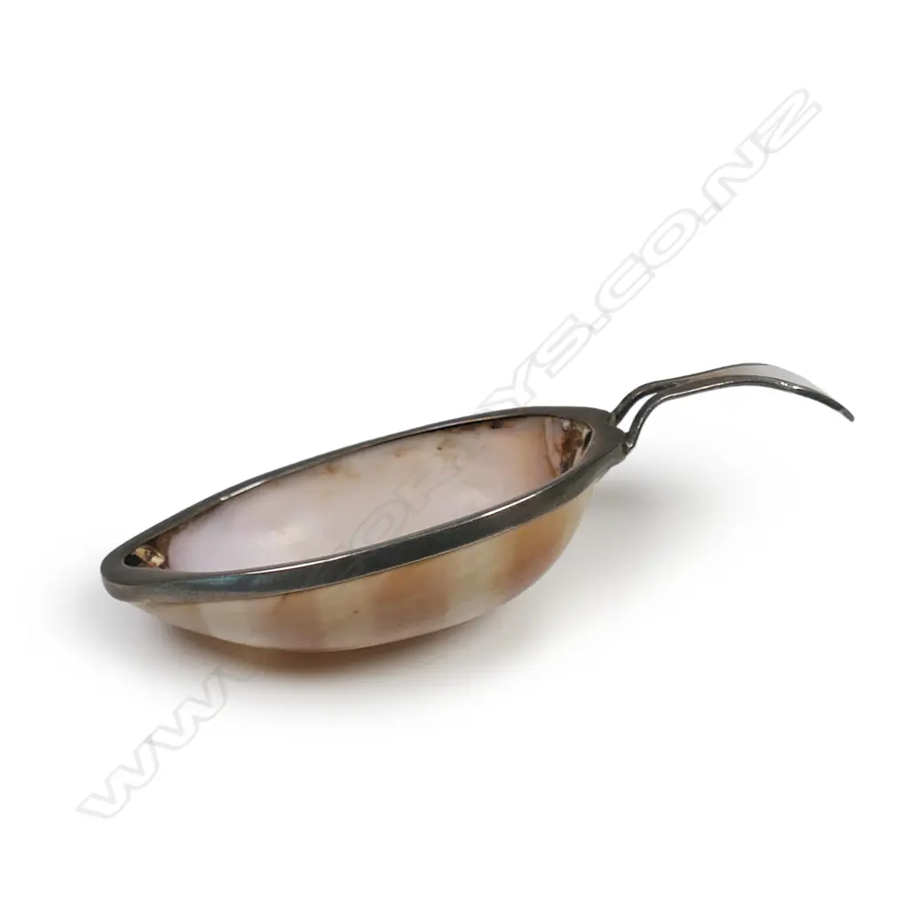 George III silver and sea shell caddy spoon, Image 1++