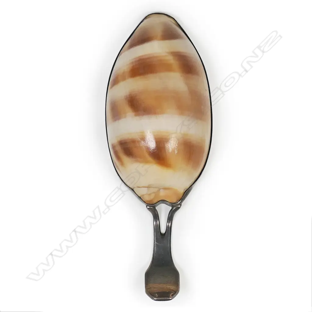 George III silver and sea shell caddy spoon, Image 1++