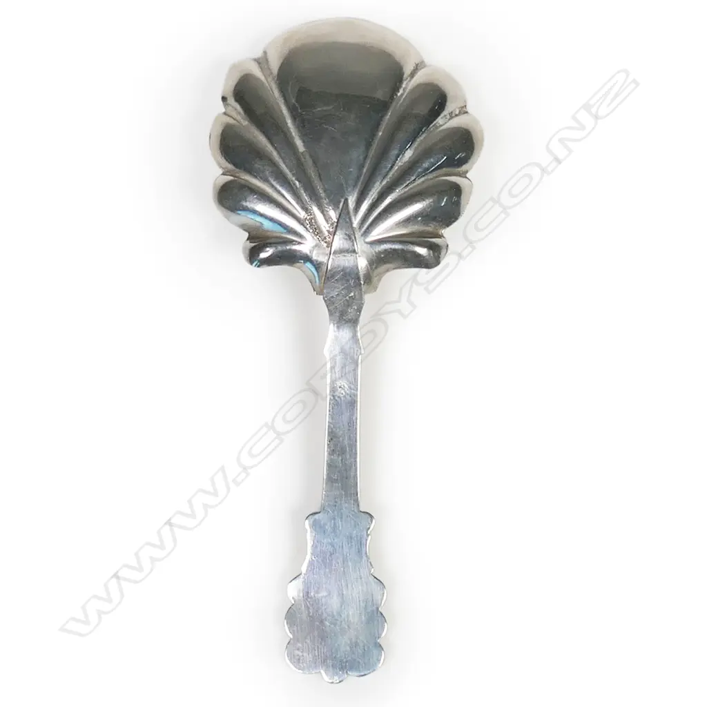 William IV silver caddy spoon, Image 1++