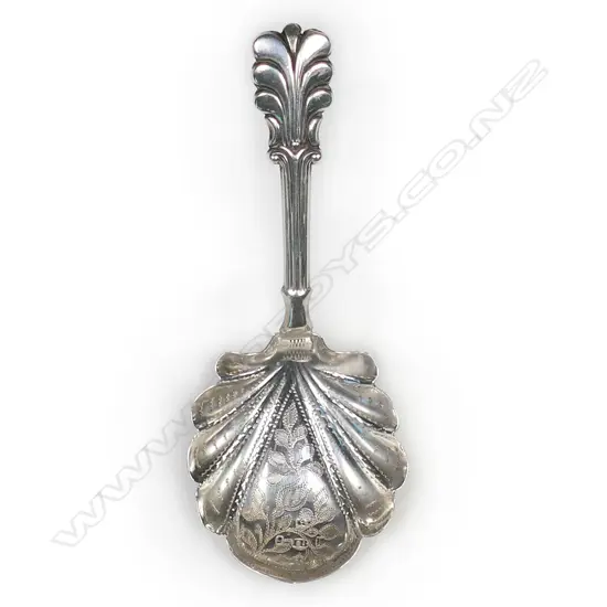 William IV silver caddy spoon,