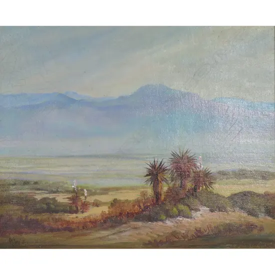 Henry William Kirkwood (1854-1925) untitled extensive landscape with cabbage trees,