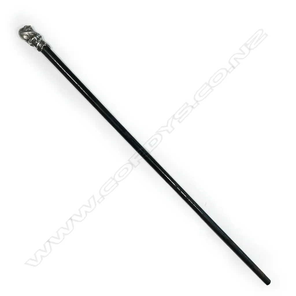 An early 1900s silver topped walking cane, Image 1++