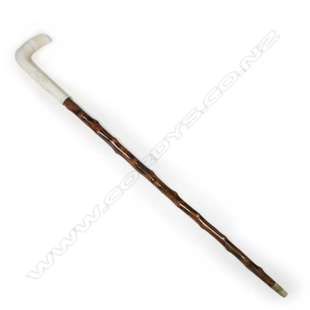 A 19thC walking cane, Image 1++