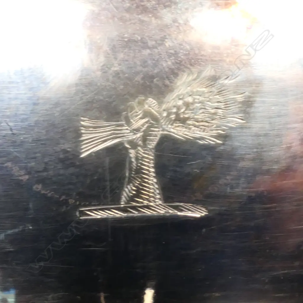A pair of George III silver salts, Image 1++