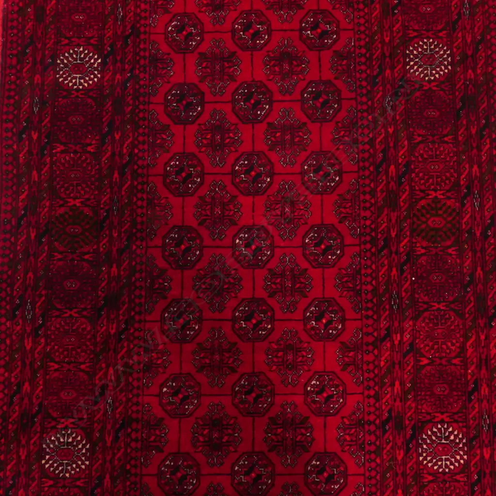 A hand-knotted Turkoman runner, Image 1++