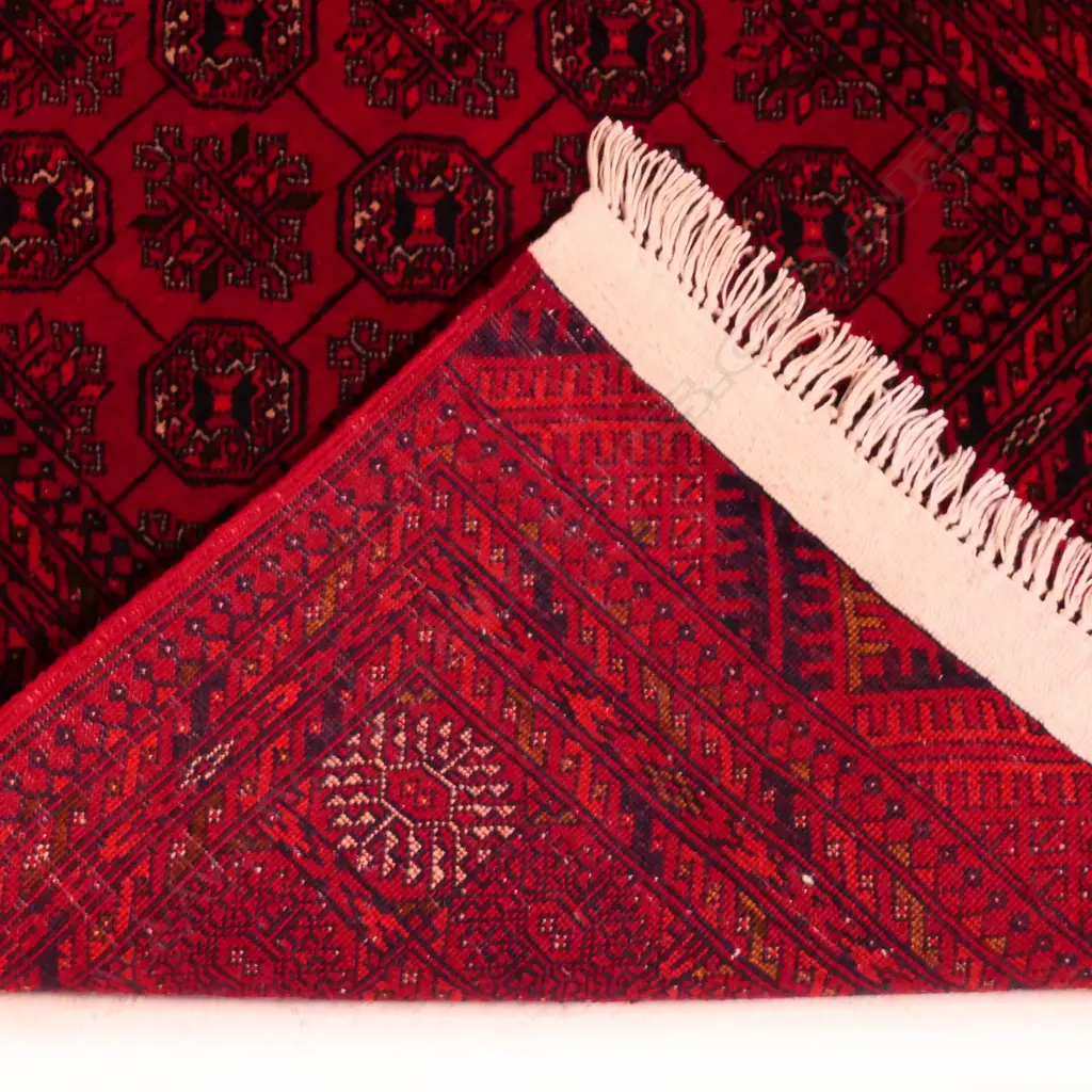 A hand-knotted Turkoman runner, Image 1++