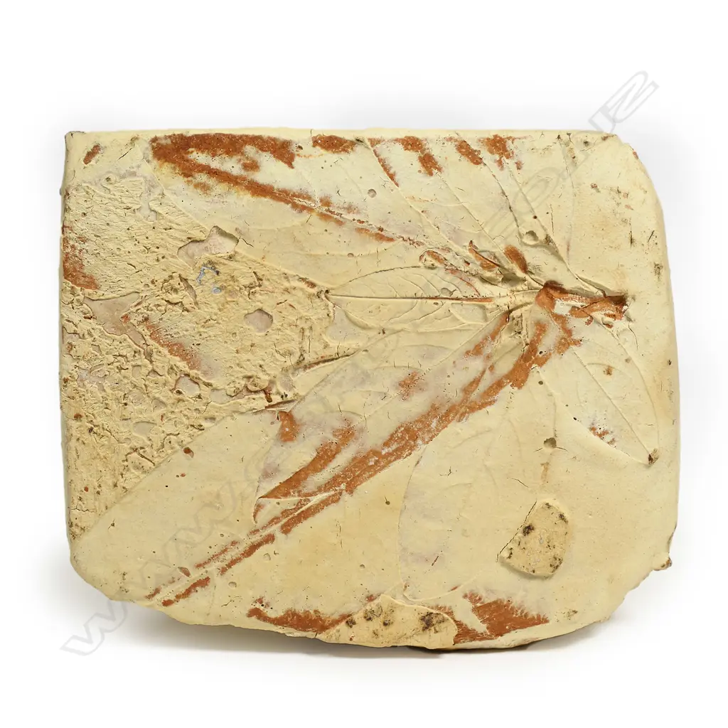 A Richard Parker pottery earthenware vase, Image 1++
