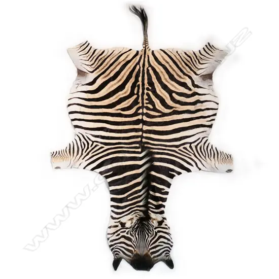 A South African zebra skin,