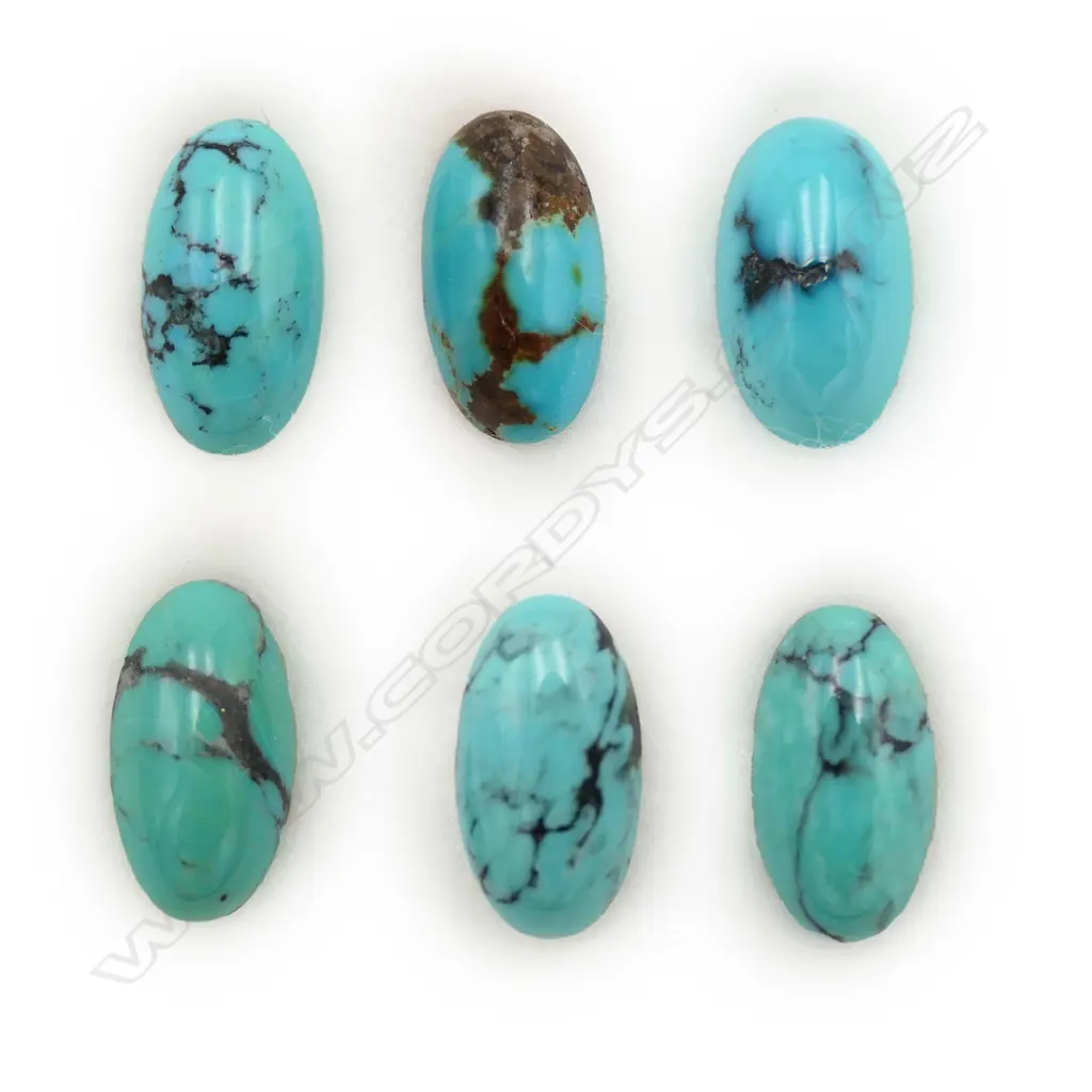 Turquoise – oval – 6 stones 12mm x 7mm Image 1++