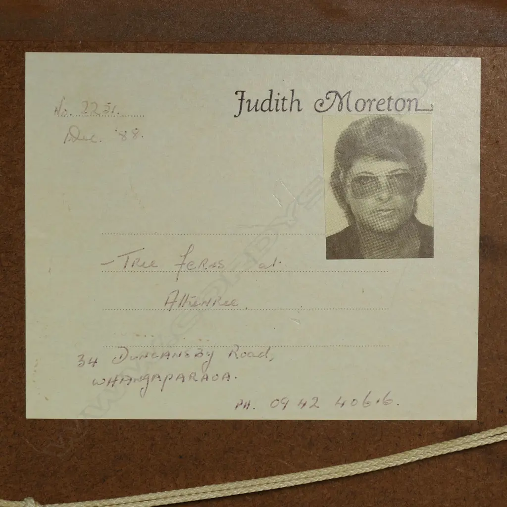 Judith Moreton 'New Zealand Bush and Stream Scene', oil on board, signed and dated ’88. Image 1++