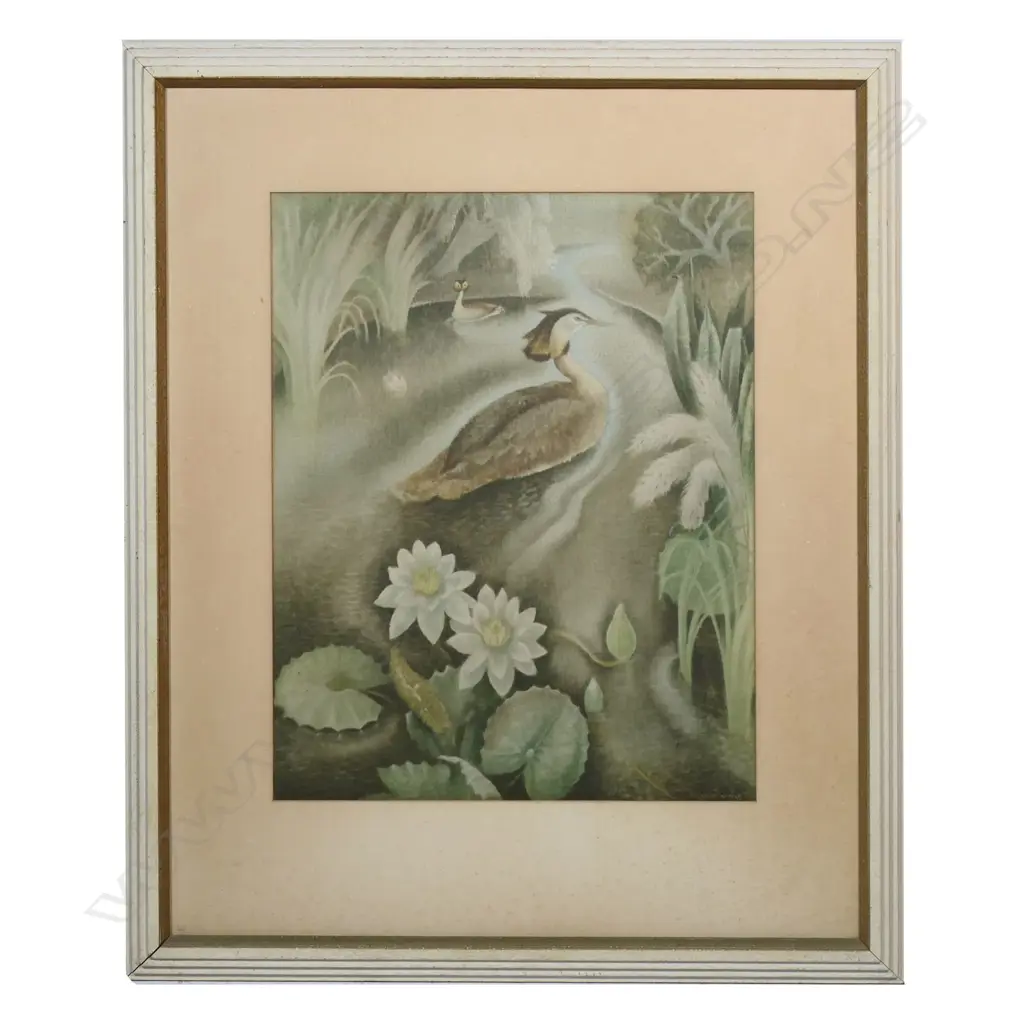 Billie Waters (Phyllis Mary Waters) 'Crested grebe & water lilies, lithograph, 480 x 380mm Image 1++