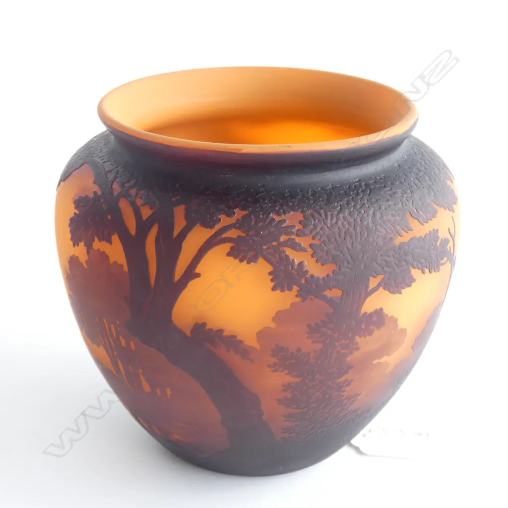 A Cameo Glass Jardinière, signed 'Muller Frères' Image 1++