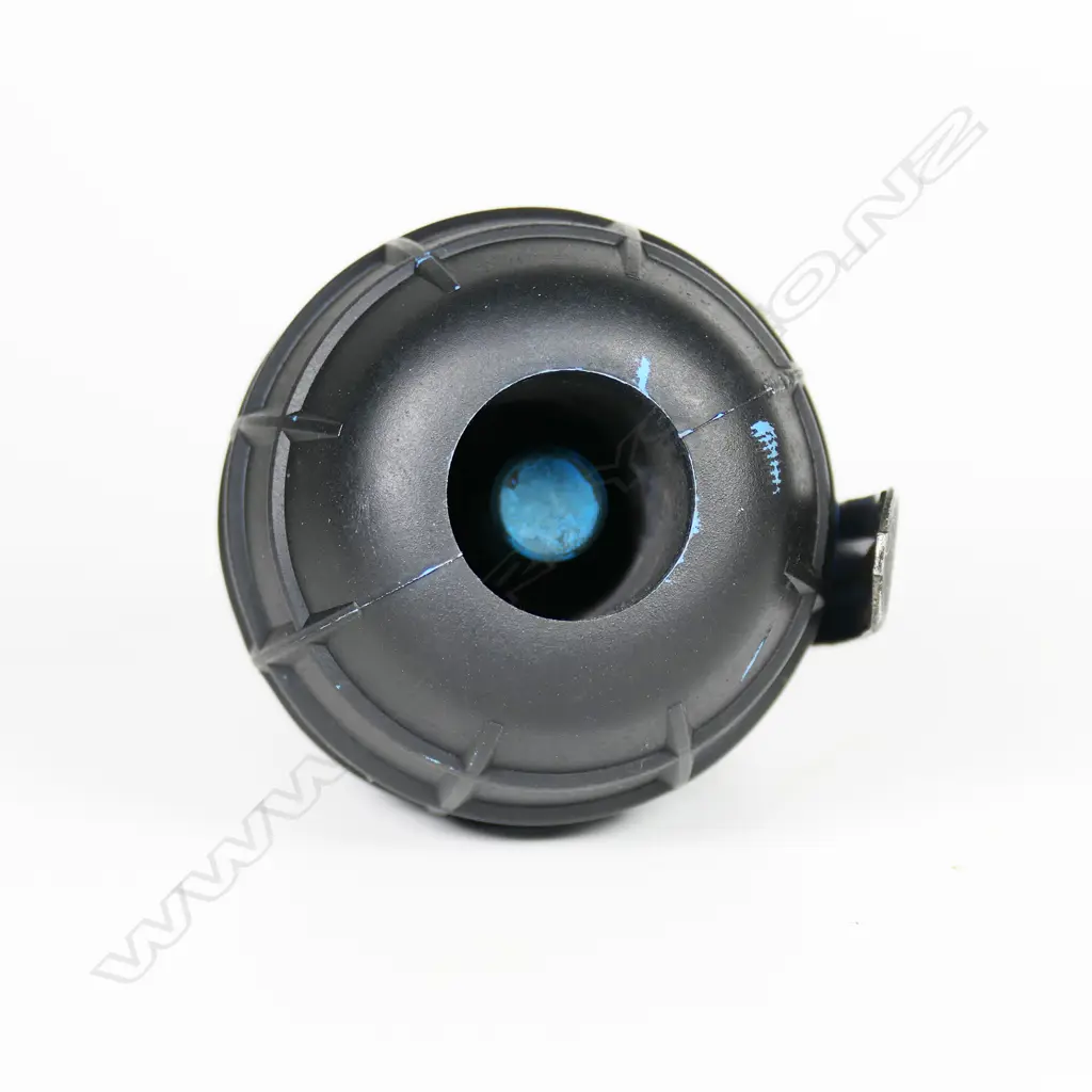 Blue Arges training grenade (repainted black). H.100mm Image 1++