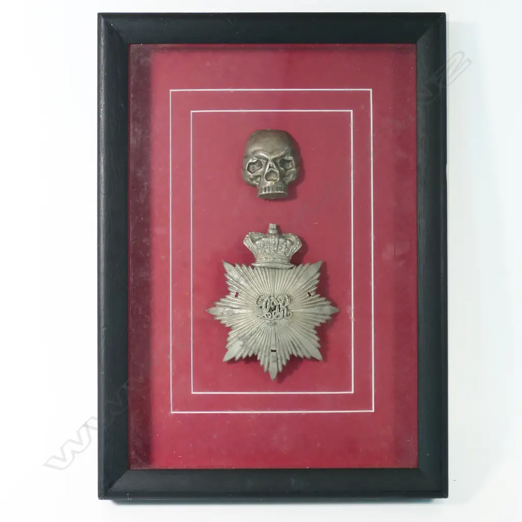 Framed British Victorian helmet plate & unrelated skull badge. 250 x 360mm Image 1++
