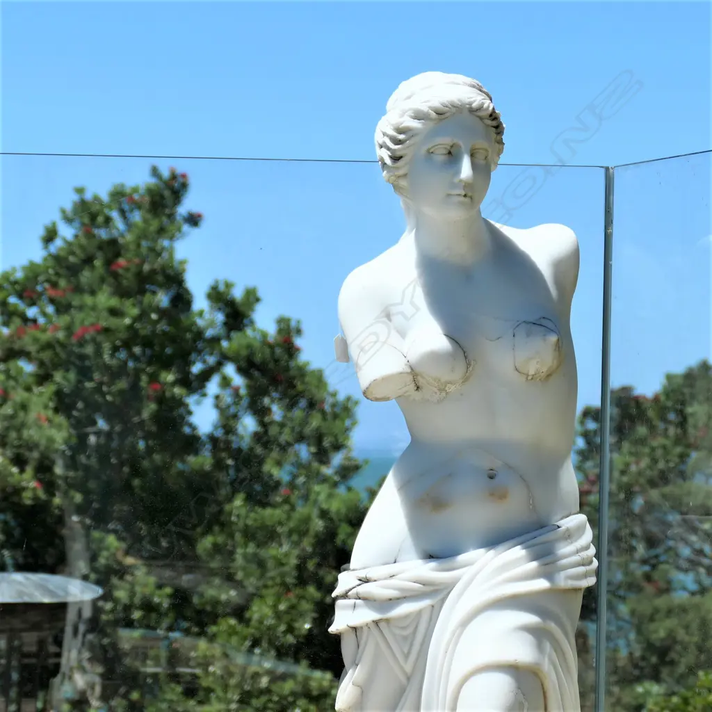 A tall carved marble Venus de milo statue Image 1++