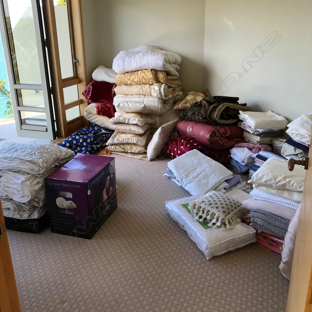 ALL PILLOWS LINEN BEDSPREADS DUVETS ETC IN BEDROOM Image 1++