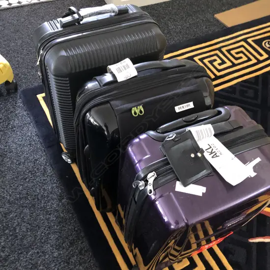 3 IN CABIN TRAVEL HARD CASES