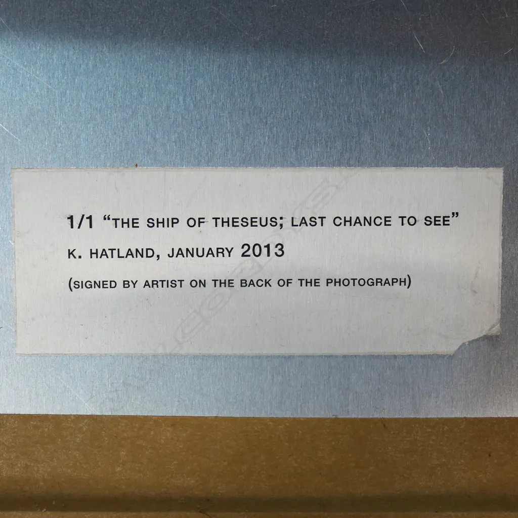 Kristin Hatland (NZ), The Ship of Theseus; Last Chance to See, unique lamda digital master on ultra endura paper Image 1++