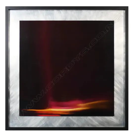 Kristin Hatland (NZ), The Ship of Theseus; Last Chance to See, unique lamda digital master on ultra endura paper