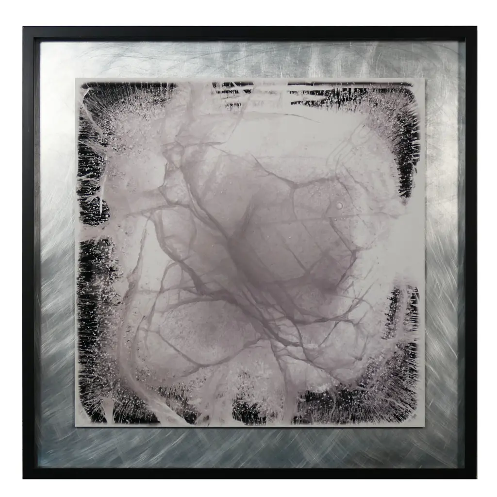 Kristin Hatland ‘Plato's Cave; I spy with my little eye Image 1++