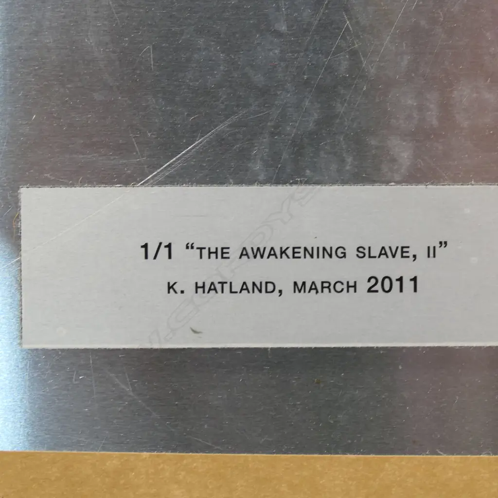 Kristin Hatland ‘The Awakening Slave’ Image 1++