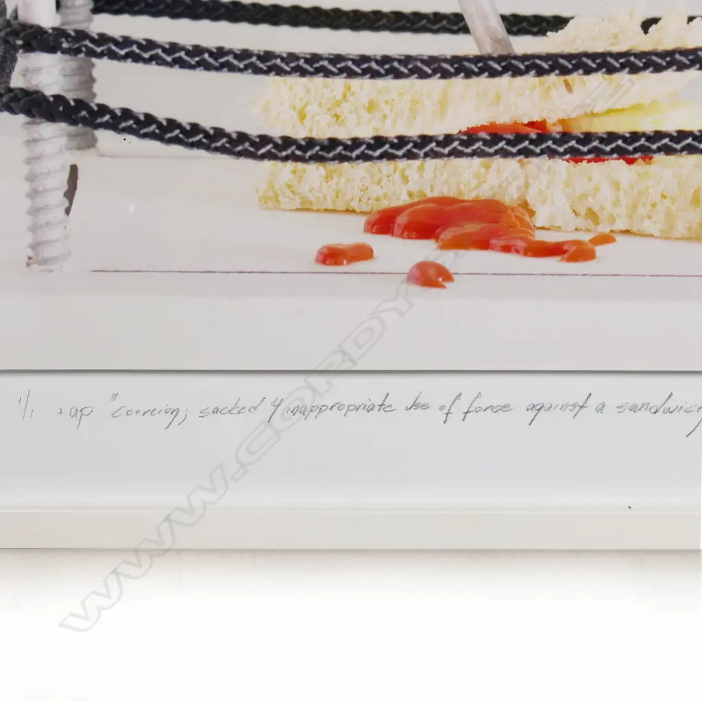 Kristin Hatland ‘Coercion Image 1++