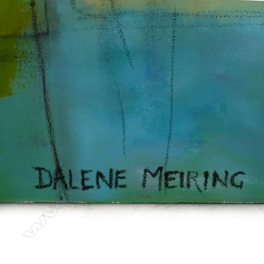 Dalene Meiring (South Africa/ NZ 1965-) ‘A Life in Colour’ Image 1++