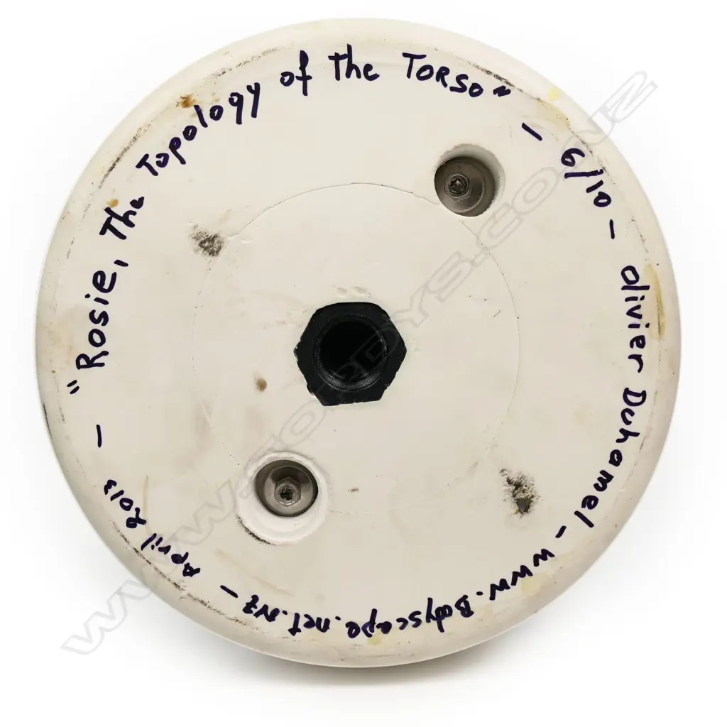 Olivier Duhamel (France/NZ 1957-) ‘Rosie Image 1++