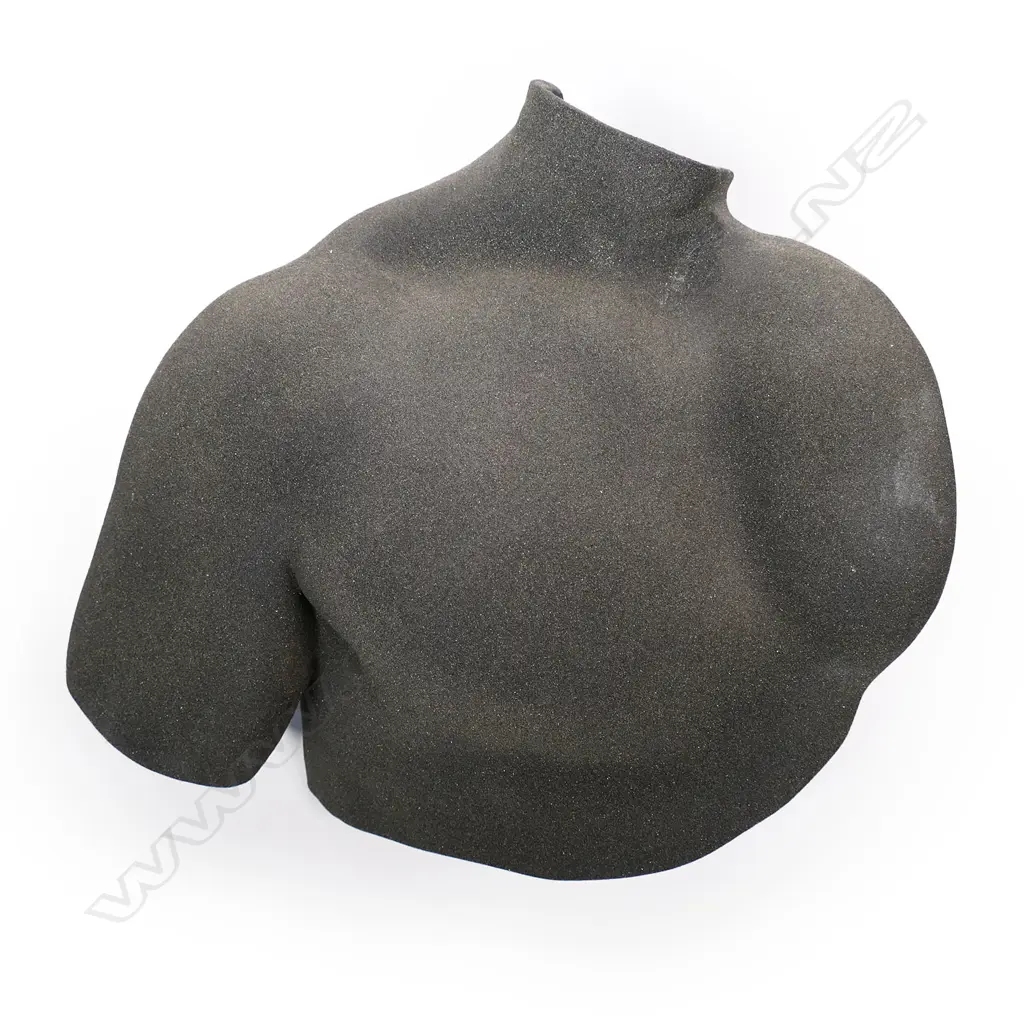 Paddy Bourke ‘Male Breast’ Image 1++