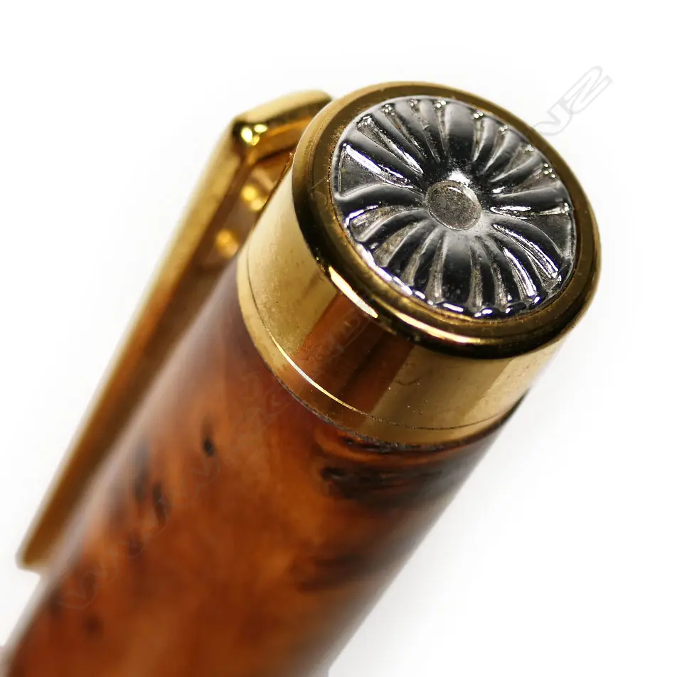 Gordon Pritchard - Fountain pen Image 1++