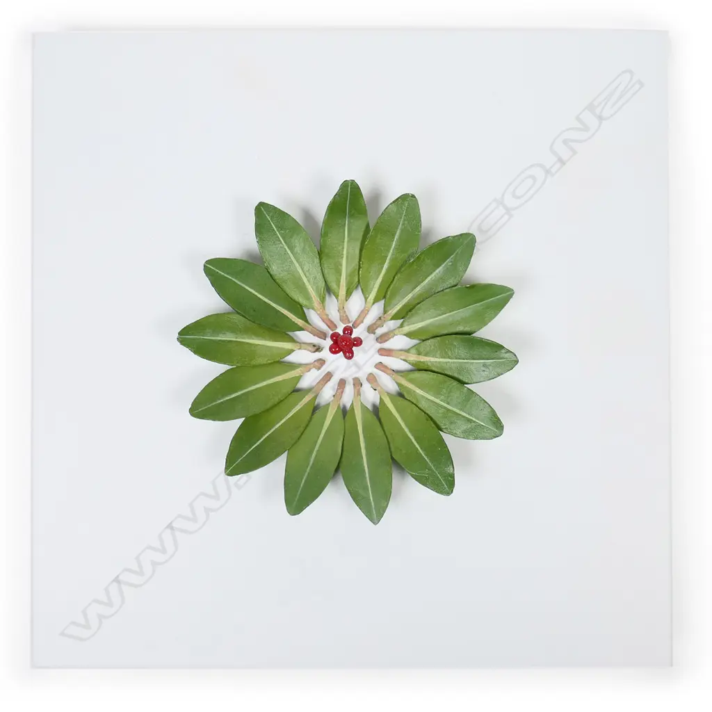 Elizabeth Thompson painted bronze leaf rosette, Image 1++