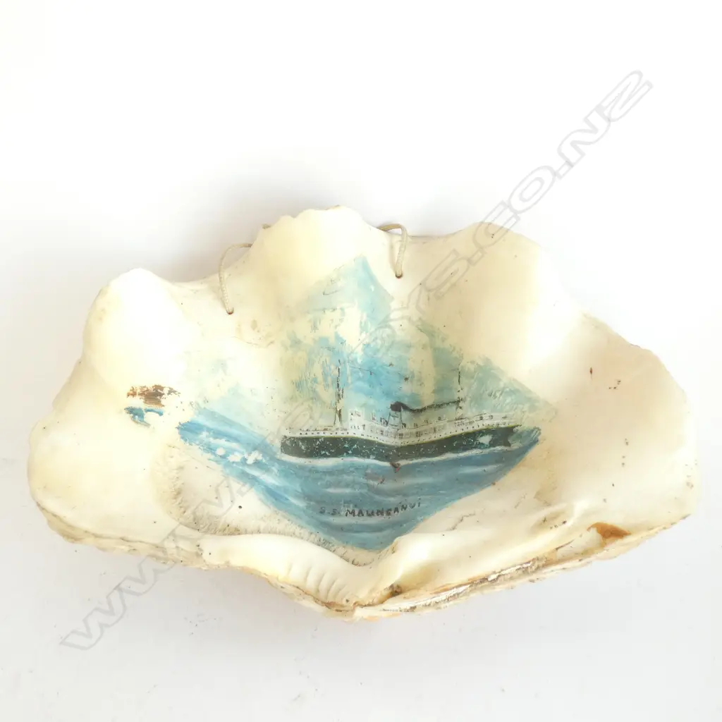 LARGE SHELL PAINTED WITH S.S. MAUNGANUI  Image 1++