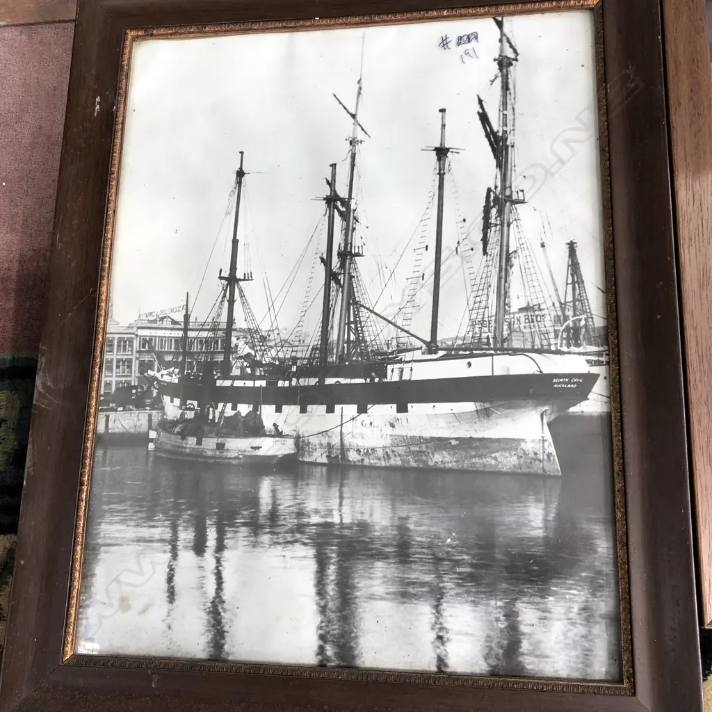 4 OLD FRAMED SHIPPING PHOTOS & PRINTS INCL. SURVIVING OFFICERS & CREW SS WAIRARAPA 1894 - LARGEST 380 X 500MM Image 1++