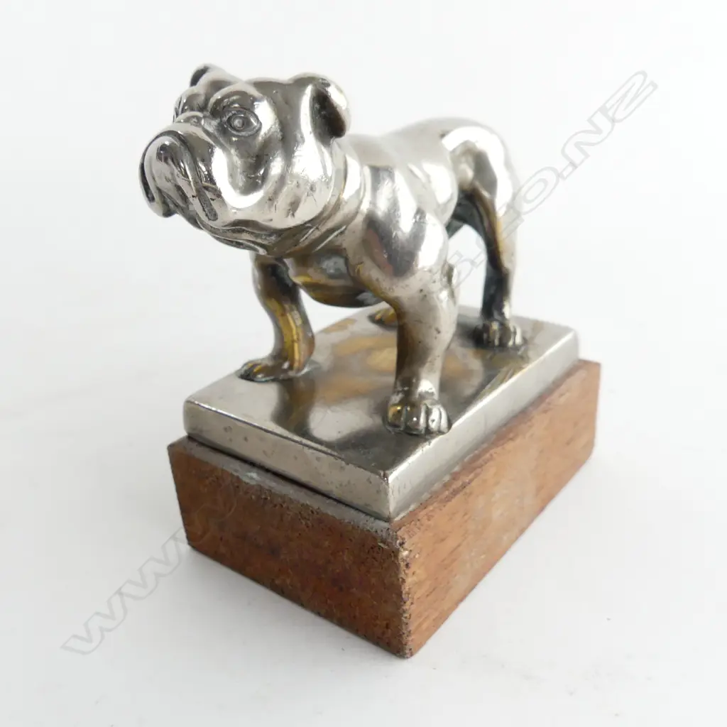 Chromed bulldog car mascot, Image 1++