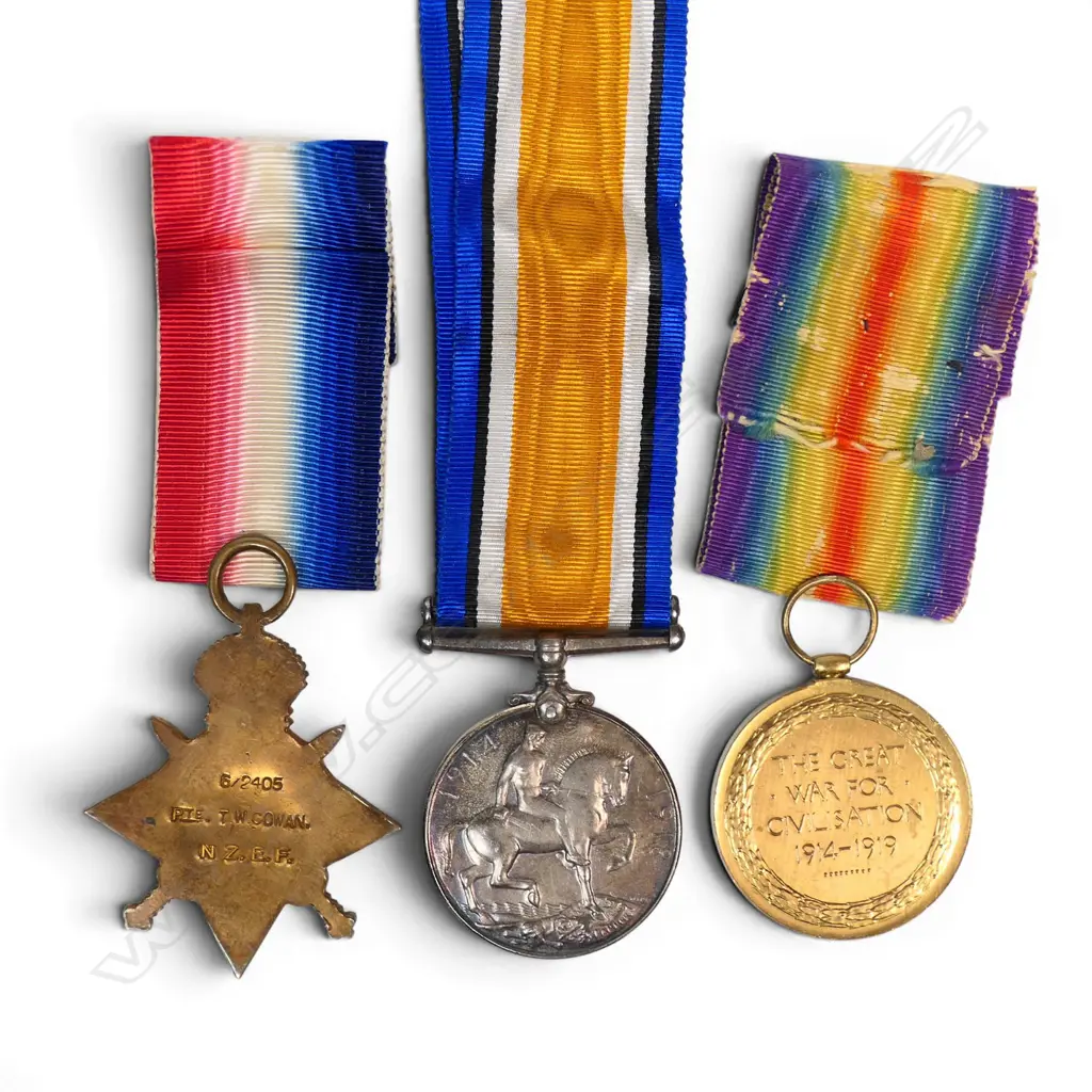 WW1 ANZAC Trio; plaque and medallion to soldier who survived Gallipoli to be killed at the Somme. With a heartbreaking letter to his parents, Image 1++