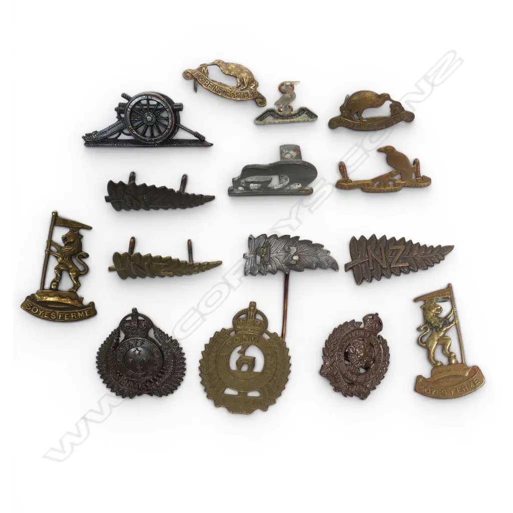 15 VARIOUS NZ CAP/COLLAR BADGES, PINS ETC Image 1++