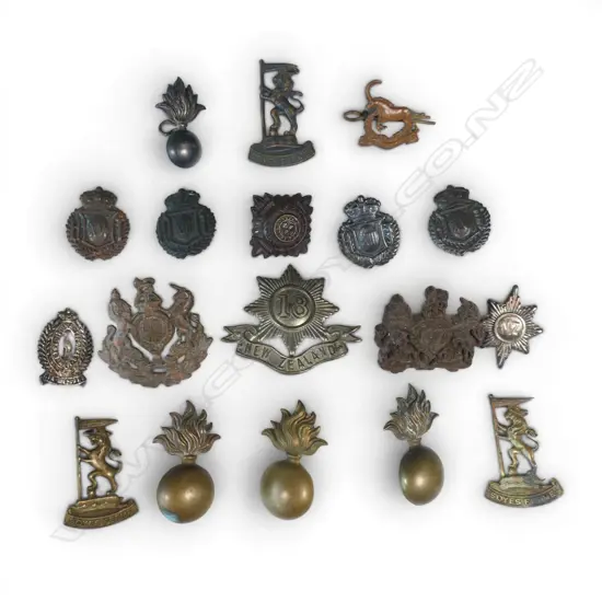 18 VARIOUS NZ CAP/COLLAR BADGES, PINS ETC