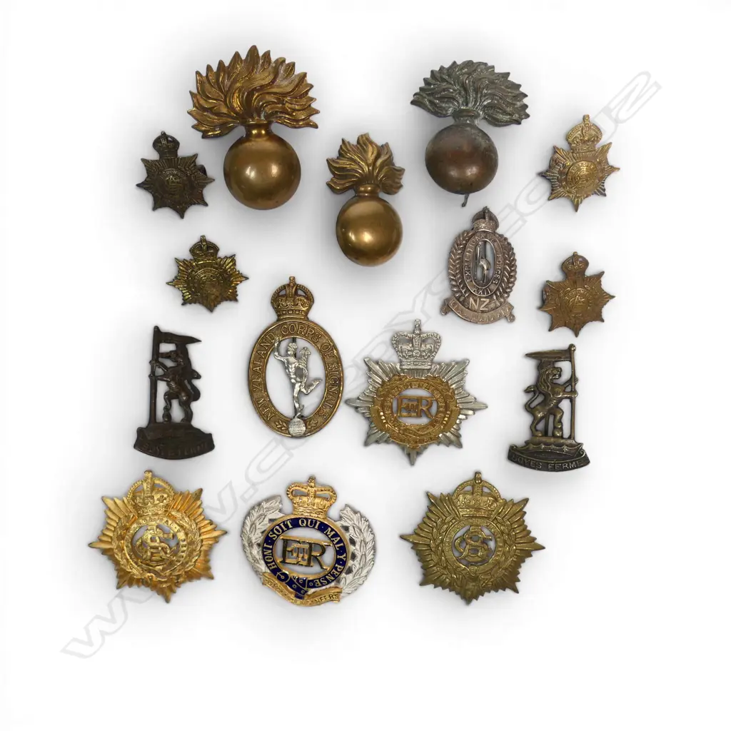 15 VARIOUS NZ CAP/COLLAR BADGES, PINS ETC Image 1++