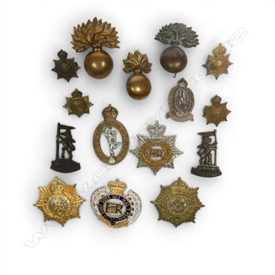 15 VARIOUS NZ CAP/COLLAR BADGES, PINS ETC