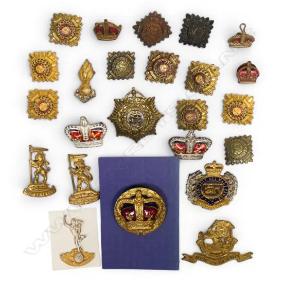 8 VARIOUS CAP/COLLAR BADGES + 2 CROWN CAP BADGES (10/67 SECURITY GUARDS) + VARIOUS SHOULDER PIPS