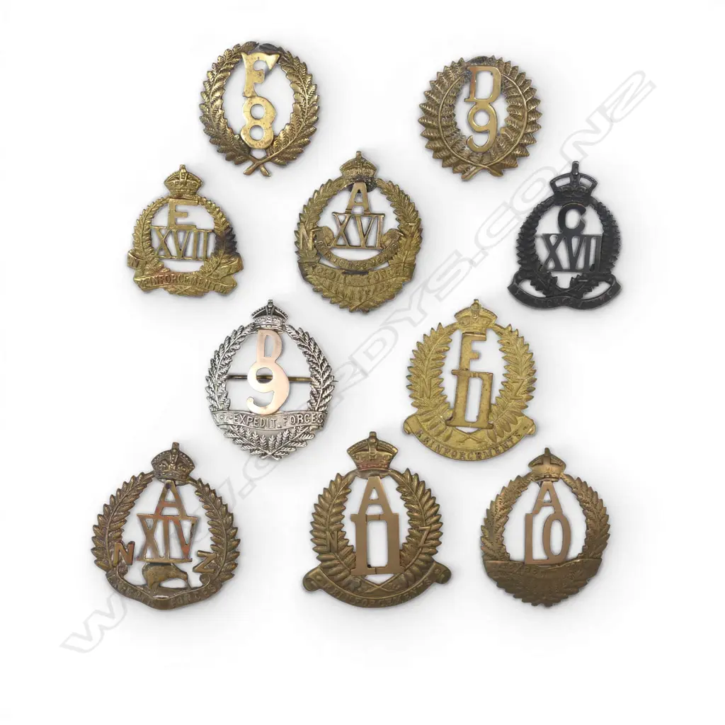 10 VARIOUS NZ REINFORCEMENTS BADGES Image 1++