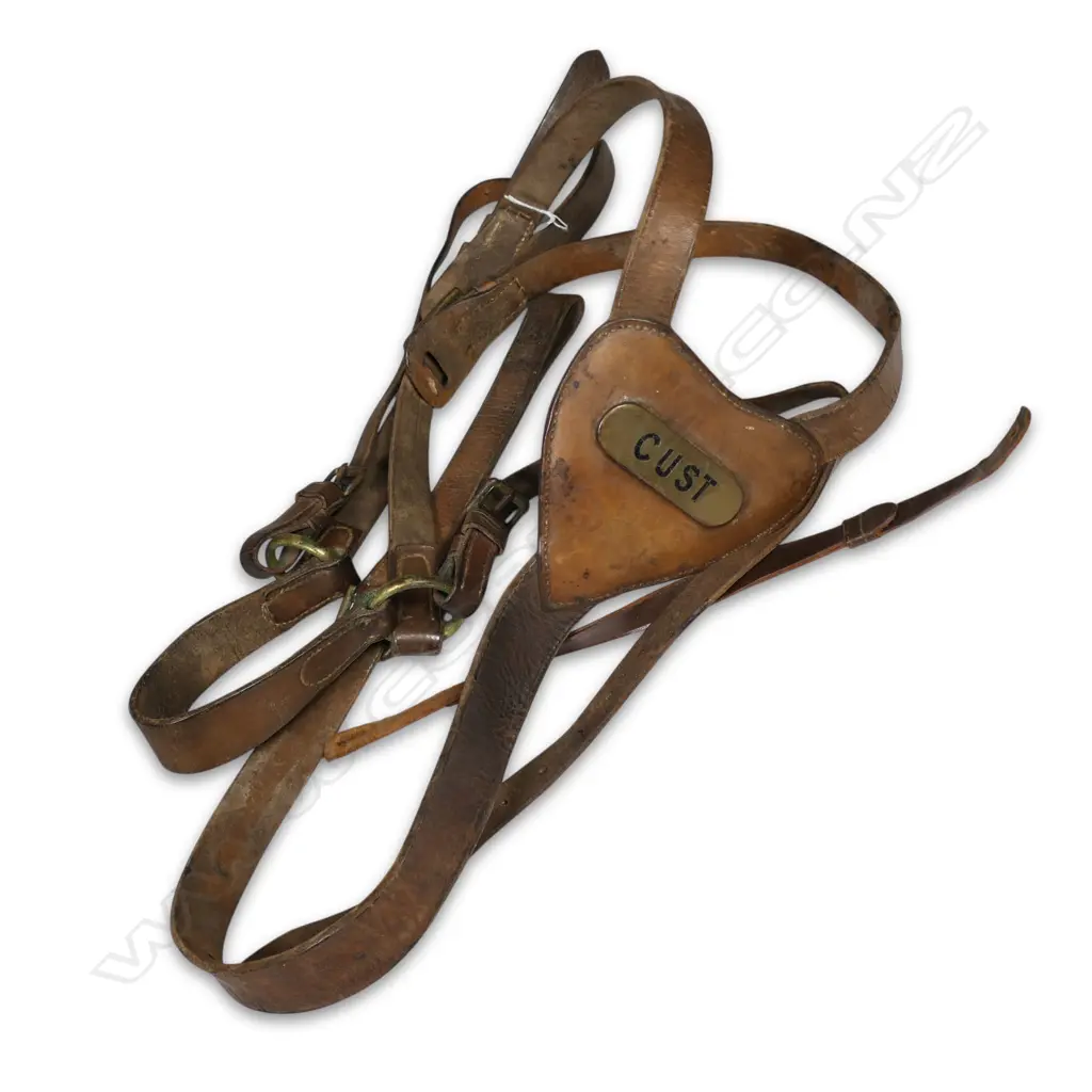 An early 20th century NZ military set of leather field suspenders with 'Cust' embellishment, Image 1++