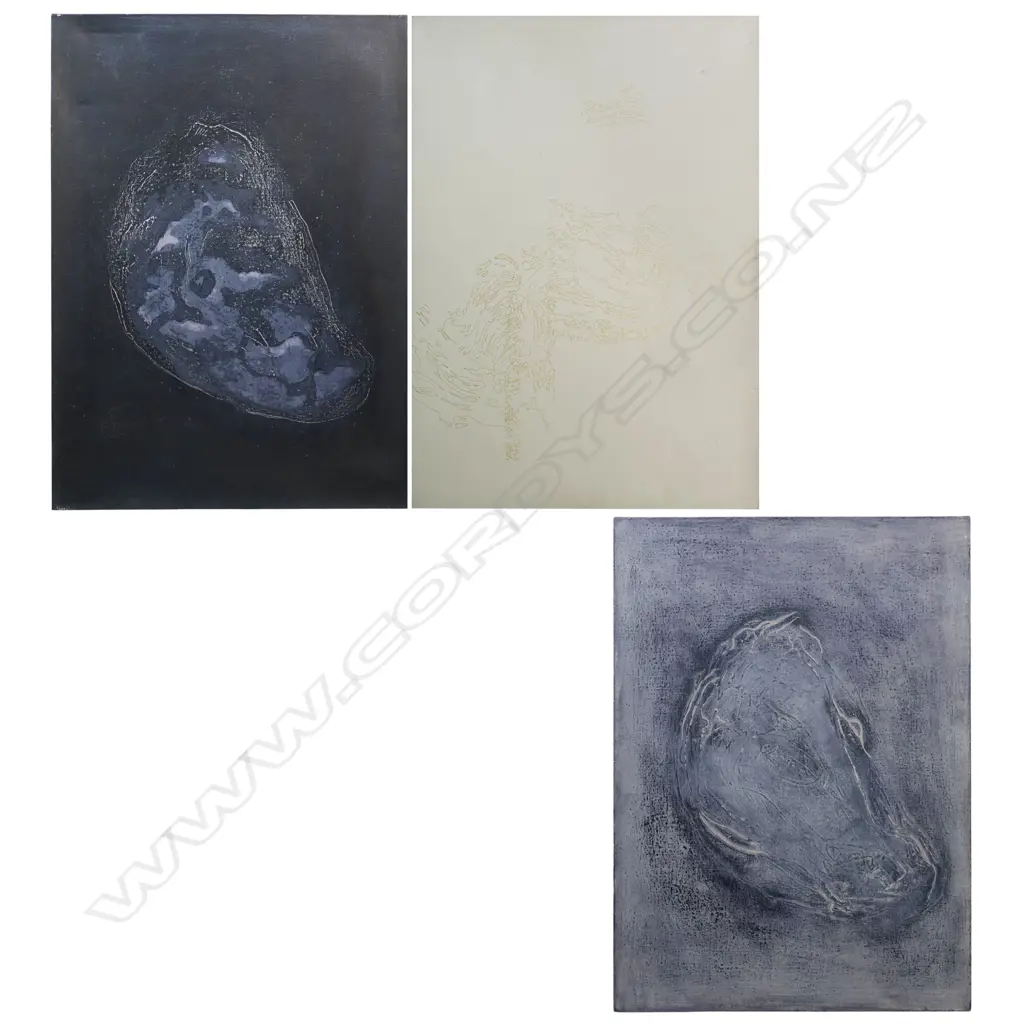 Jacquie Ure Favoured pathways, Image 1++